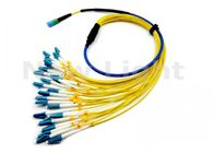 MPO - LC 1M Çapraz Bağlı 24 çekirdekli tek modlu fiber optik kablo (Uzunluk Opsiyonlu)