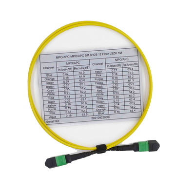 satın al Dişi OS2 9/125 MPO MTP Kablosu 12 Fiber Çok Modlu Yama Kablosu online manufacture