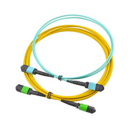 satın al MPO dişi konnektör 12 çekirdekli tek modlu SFP için Fiber optik kablo Montajları online manufacture
