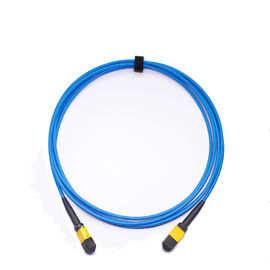 satın al Düşük ekleme kaybı 24 çekirdek MTP Mpo zırhlı LSZH Malzeme Fiber Optik Yama Kablosu 3 metre online manufacture