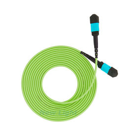 satın al Yeşil Mpo Fiber Optik Yama Kablosu 32 Çekirdek MTP / MPO Kadın 400G 3 Metre OM5 -600 online manufacture