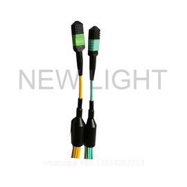 satın al 12 ve 24 Çekirdekli MPO'ya 4 Çift Yönlü LC Breakout Kablosu Fiber Türleri Çok Renkli online manufacture