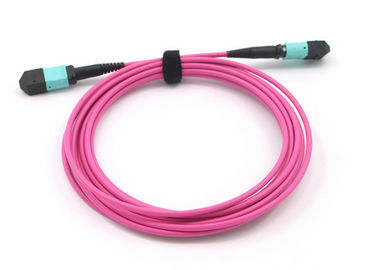 Patch Cord MPO MPO 12 Fiber Çekirdek OM4 Eflatun MPO MTP Trunk Kablo