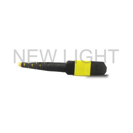 MTP (Kadın) - MTP (Kadın) QSFP28 Alıcı-Vericileri İçin Tek Modlu Kablo Polaritesi B