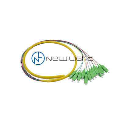 Yüksek Performanslı Çok Fiberli Kablo Düzenekleri için Sağlam 12 Çekirdekli Gevşek Tüp SC Fiber Pigtail 0,9 mm
